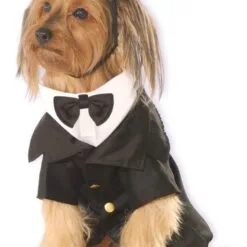 Dapper Dog Pet Costume