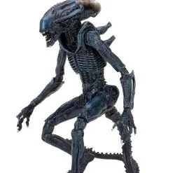 Arachnoid Alien (Movie Deco) - 7" Scale Action Figures - Alien Vs Predator - NECA Collectibles