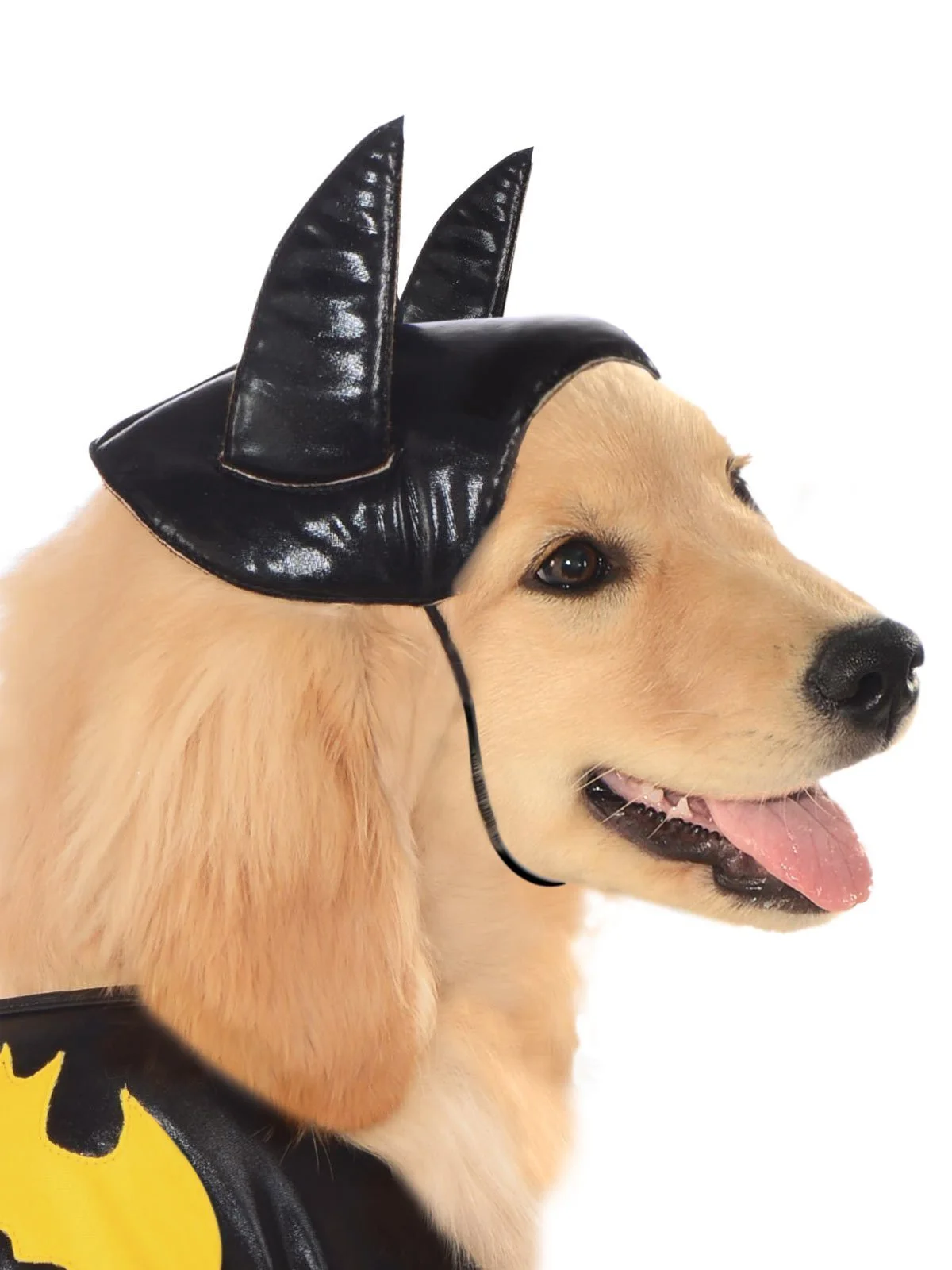 Batgirl Pet Costume - Warner Bros DC Comics - Image 2