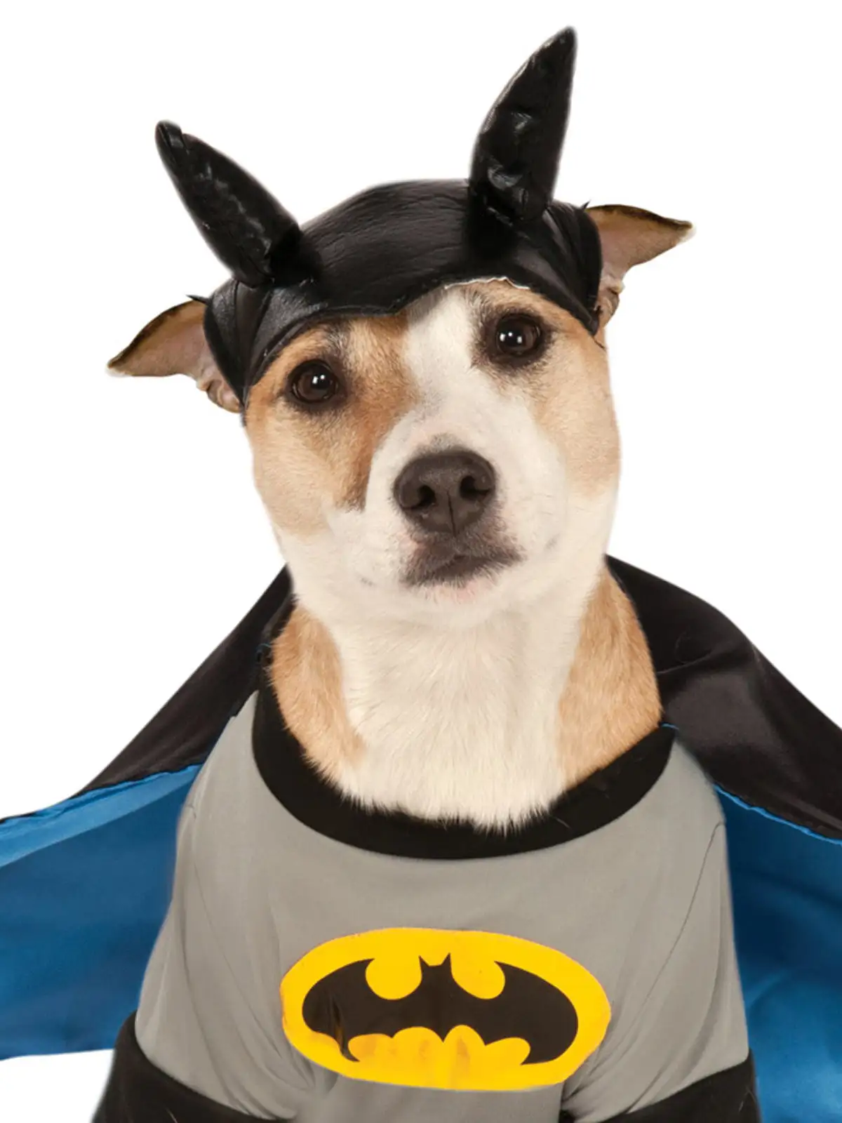 Batman Deluxe Pet Costume - Warner Bros Batman: Brave And Bold - Image 2