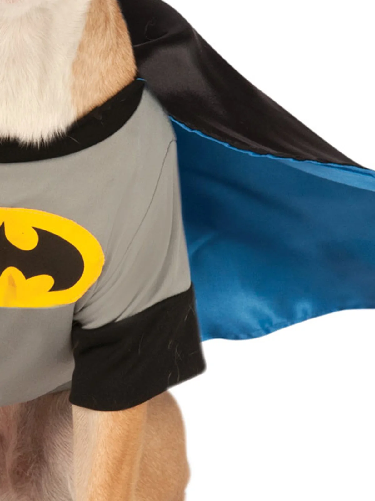 Batman Deluxe Pet Costume - Warner Bros Batman: Brave And Bold - Image 3