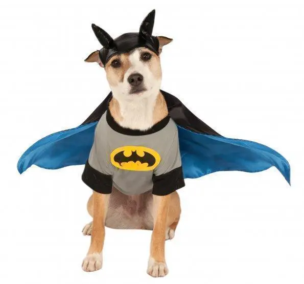 Batman Deluxe Pet Costume - Warner Bros Batman: Brave And Bold