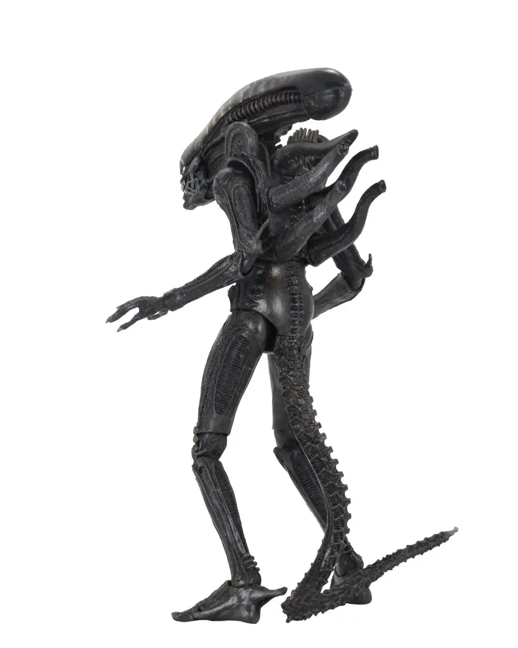 Big Chap Alien Ultimate 40th Anniversary - 7" Scale Action Figure - Aliens - NECA Collectibles - Image 3