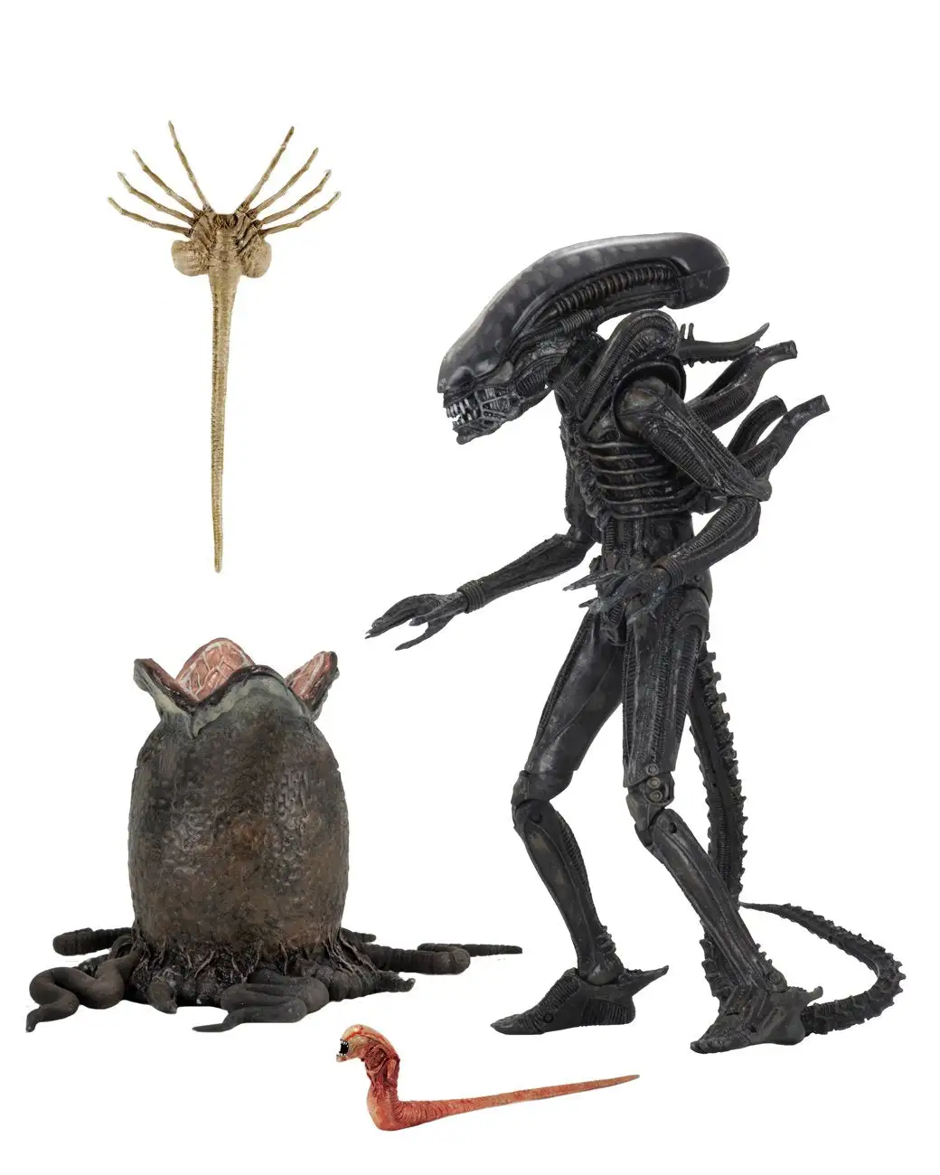 Big Chap Alien Ultimate 40th Anniversary - 7" Scale Action Figure - Aliens - NECA Collectibles