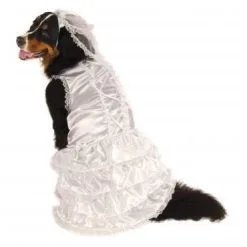 Bride Big Dog Pet Costume