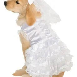 Bride Pet Costume