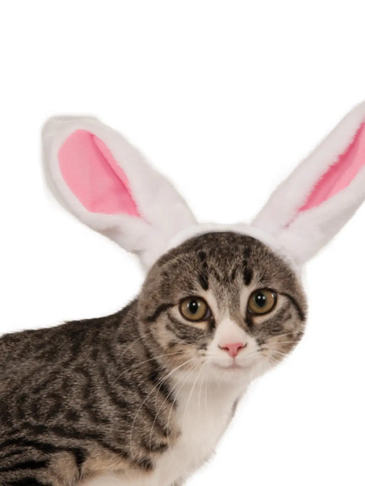 Bunny Ears Pet Headband Accessory - Image 2