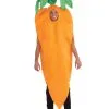 Carrot Costume For Adults