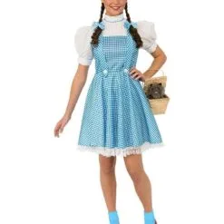 Dorothy Deluxe Costume For Teens And Adults - Warner Bros The Wizard Of Oz