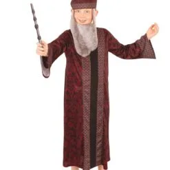 Dumbledore Robe For Kids - Warner Bros Harry Potter
