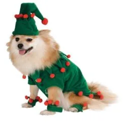 Elf Pet Costume