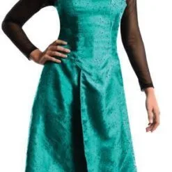 Evanora Deluxe Costume For Teens - Warner Bros OZ The Great And Powerful