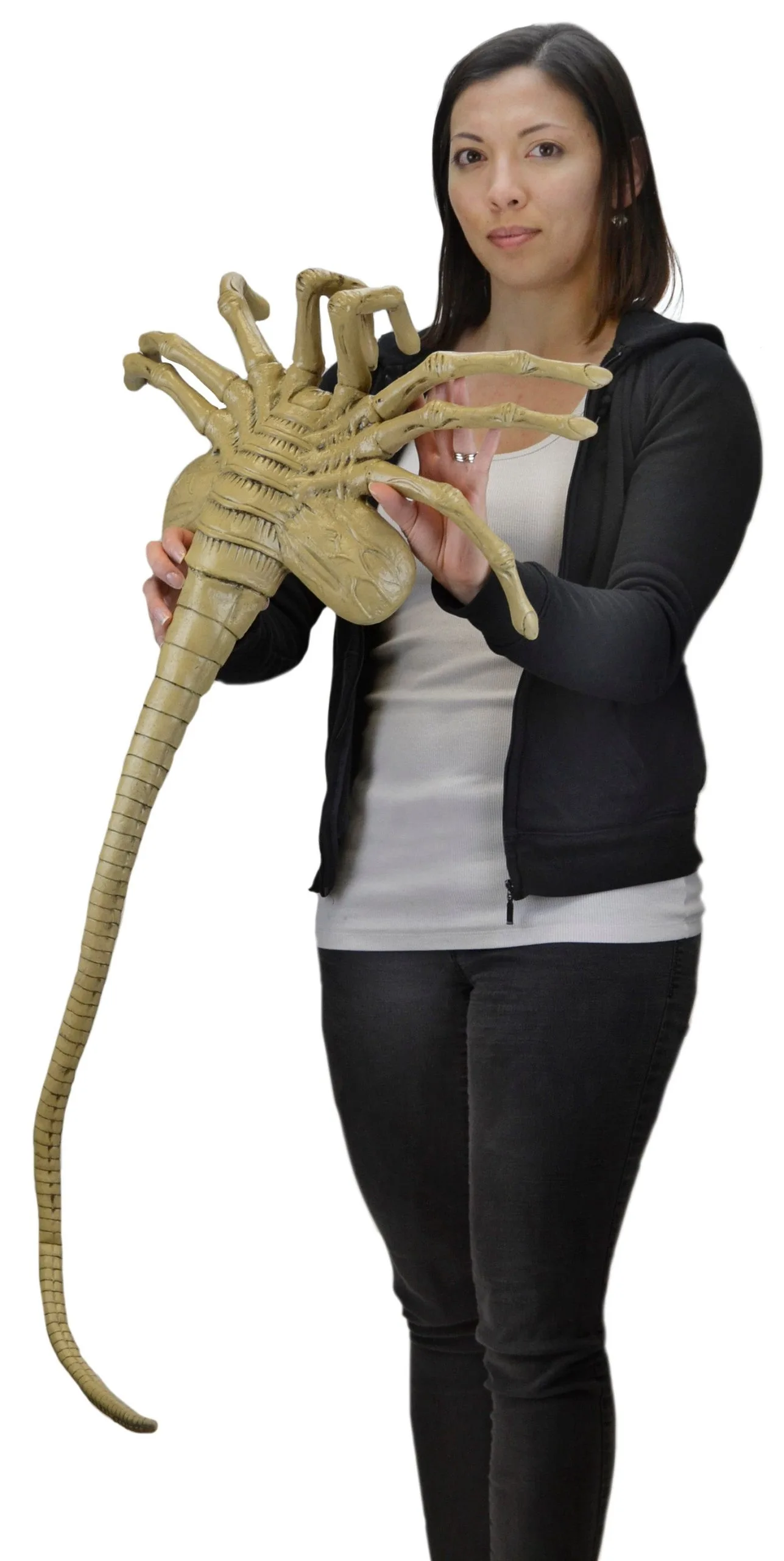 Facehugger - Lifesize Foam Prop Replica - Aliens - NECA Collectibles - Image 4