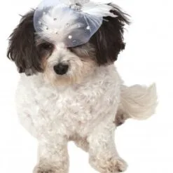 Fancy Formal Pet Fascinator