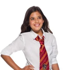 Gryffindor Tie - Warner Bros Harry Potter