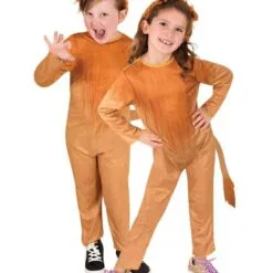 Lion Costume For Kids