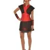 Ninja Lady Costume For Adults