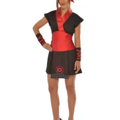 Ninja Lady Costume For Adults