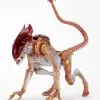 Panther Alien Kenner Tribute - 7" Scale Action Figure - Aliens - NECA Collectibles