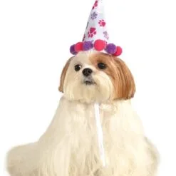 Paw Print Birthday Girl Pet Hat