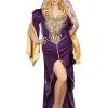 Dreamgirl Queen Of Thrones Renaissance Plus Size Costume For Adults