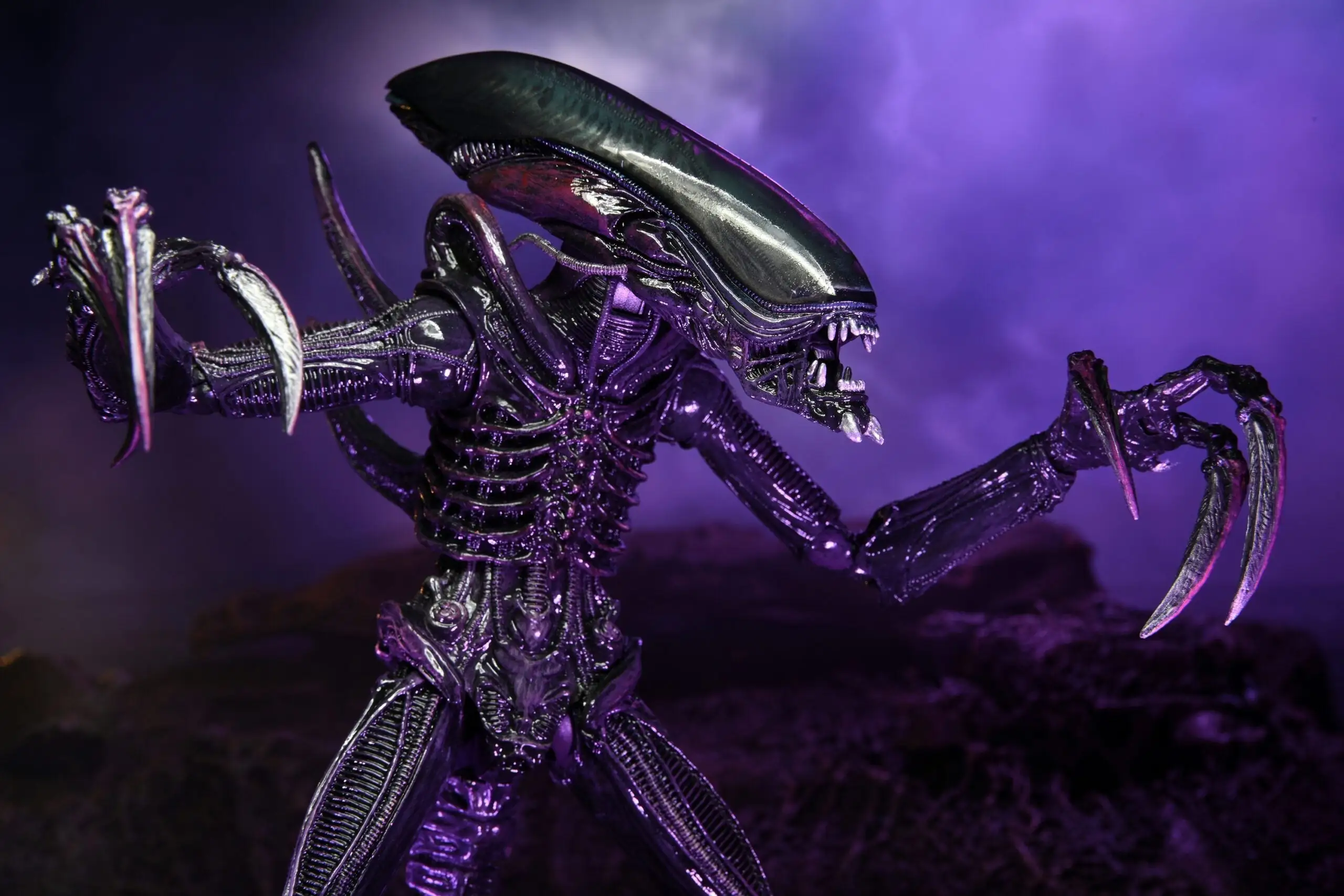 Razor Claws Alien (Movie Deco) - 7" Scale Action Figures - Alien Vs Predator - NECA Collectibles - Image 2