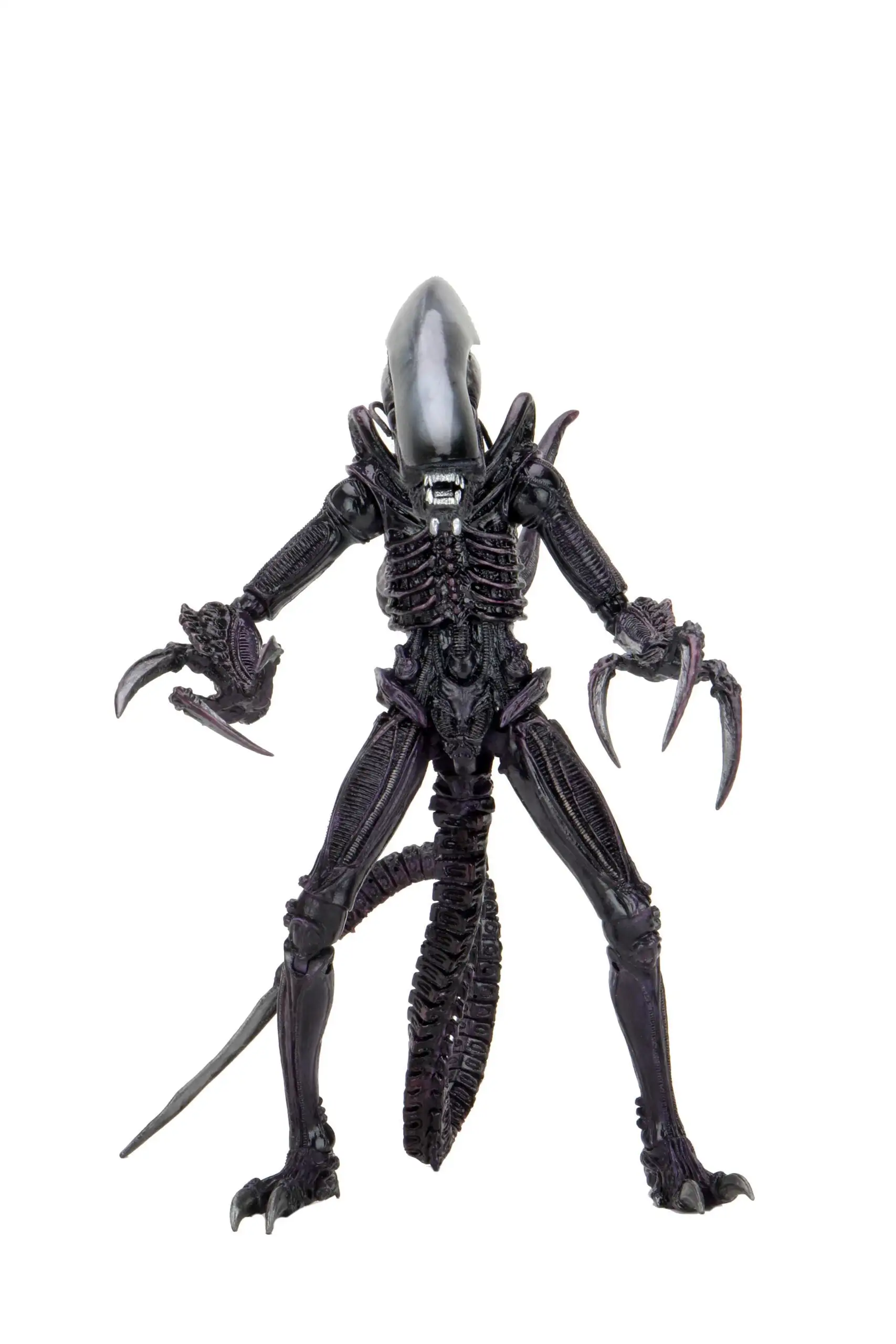Razor Claws Alien (Movie Deco) - 7" Scale Action Figures - Alien Vs Predator - NECA Collectibles