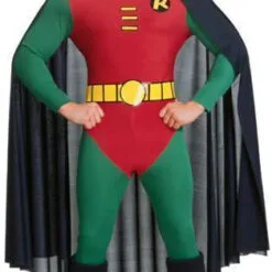 Robin Costume For Adults - Warner Bros DC Comics
