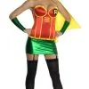 Robin Secret Wishes Costume For Adults - Warner Bros DC Comics