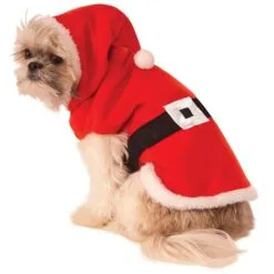 Santa Claus Pet Costume