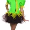 Scarecrow Tutu Costume For Kids - Warner Bros The Wizard Of Oz