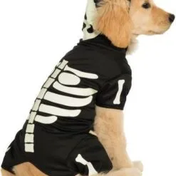 Skeleton Pet Costume