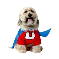 Underdog Pet Costume