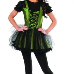 Wicked Witch Of The West Costume For Adults - Warner Bros The Wizard Of Oz