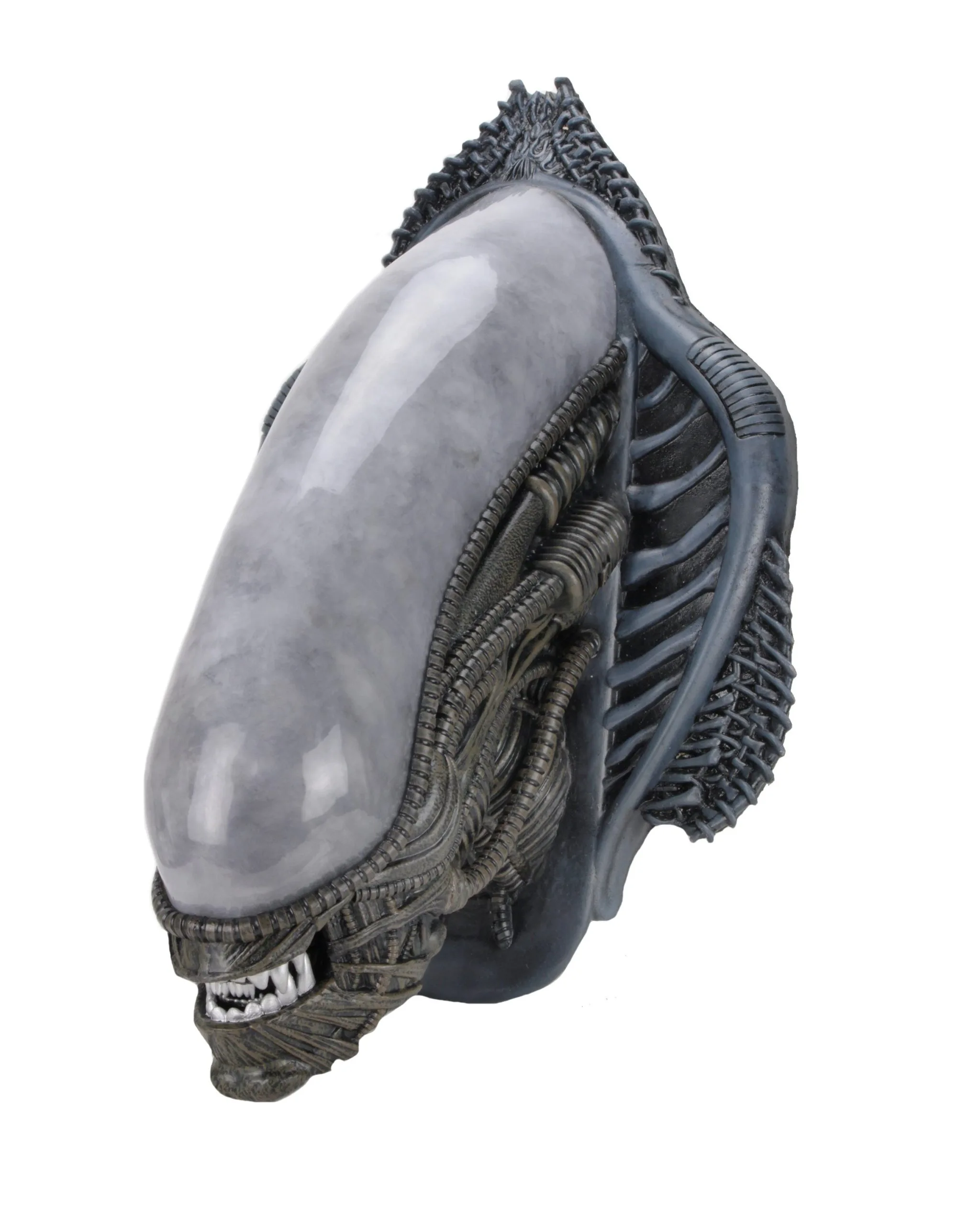 Xenomorph Alien Bust Wall-Mounted Foam Replica - Alien - NECA Collectibles - Image 3