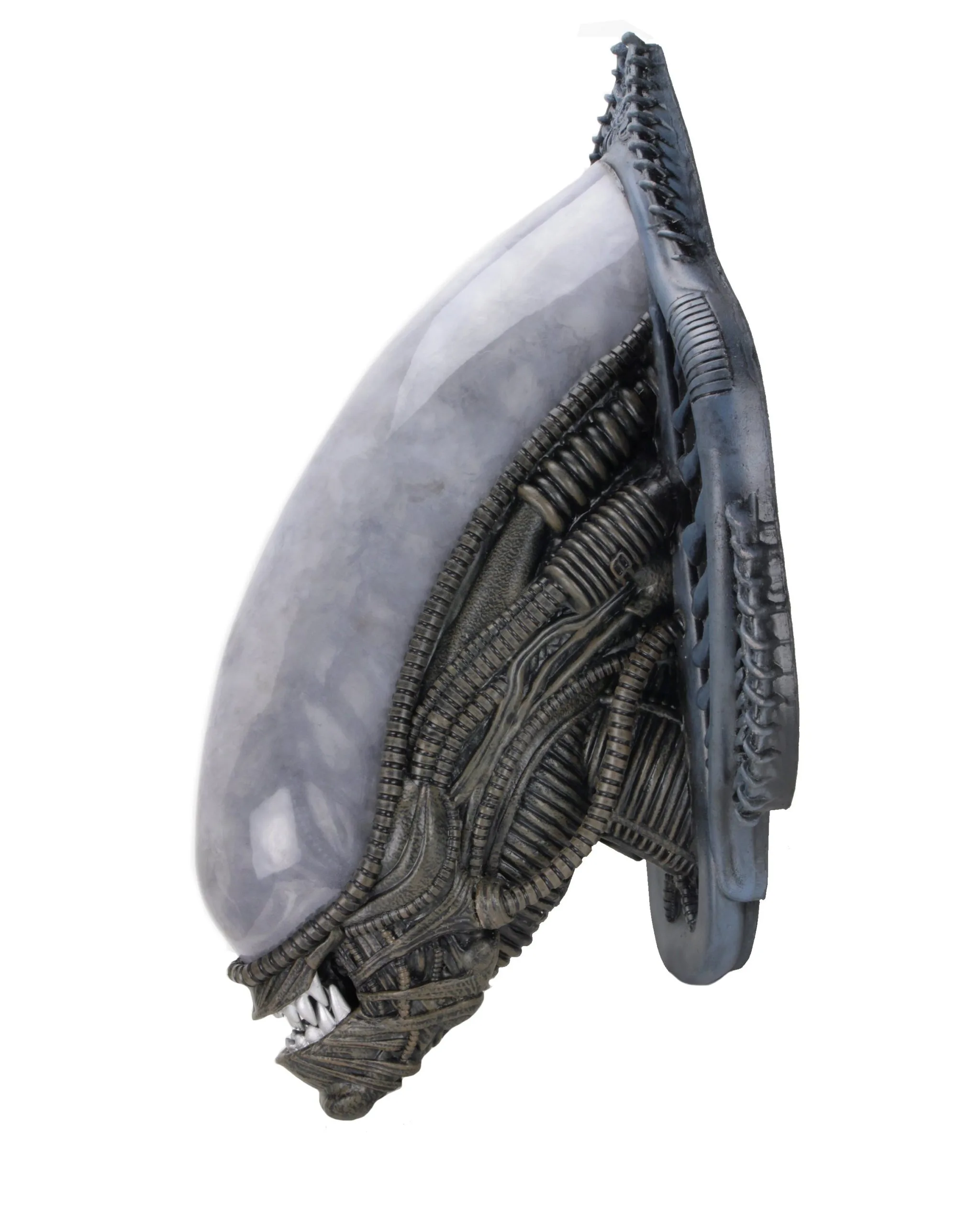 Xenomorph Alien Bust Wall-Mounted Foam Replica - Alien - NECA Collectibles - Image 4