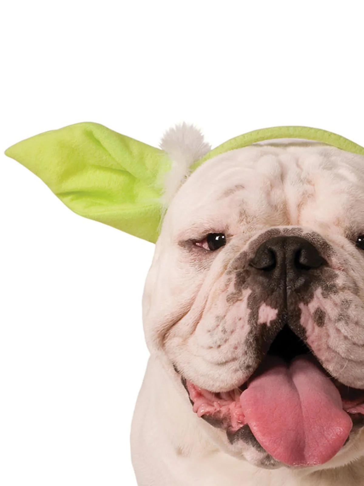 Yoda Pet Headband - Disney Star Wars - Image 2