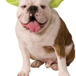 Yoda Pet Headband - Disney Star Wars