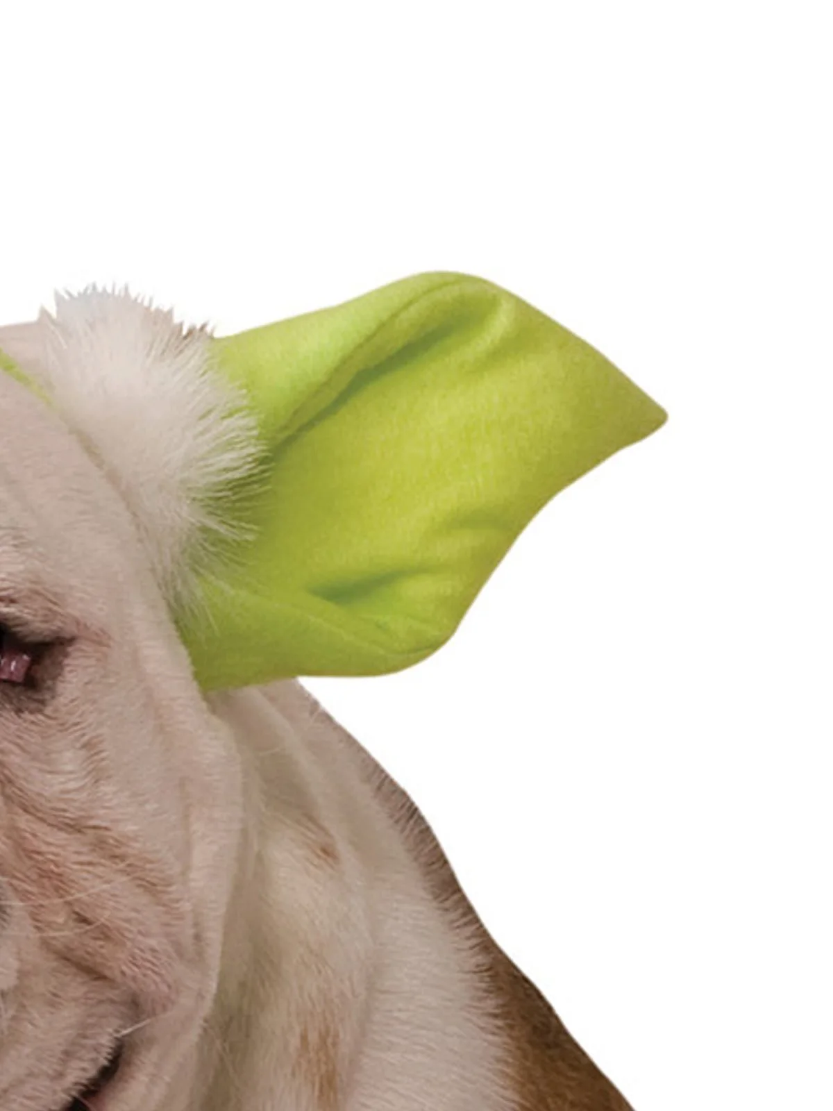 Yoda Pet Headband - Disney Star Wars - Image 3