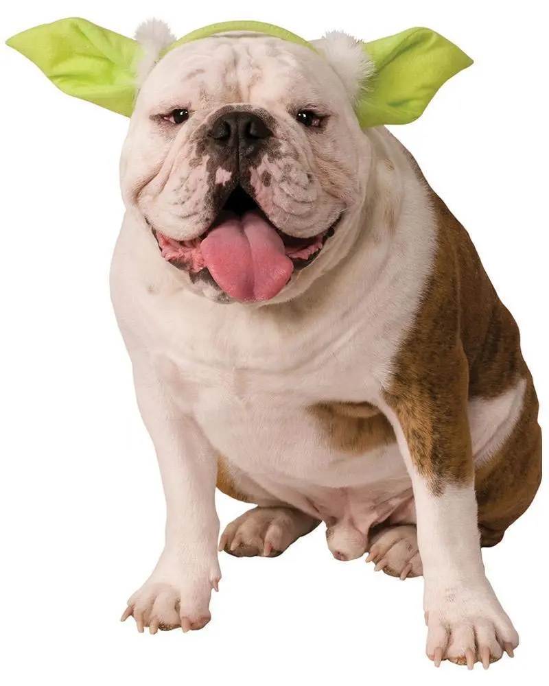 Yoda Pet Headband - Disney Star Wars